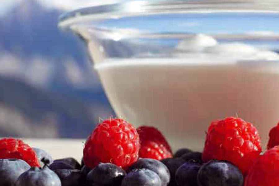 ヴェネツィア料理大全:アルヴィーゼ・ゾルジ序文:ピーノ